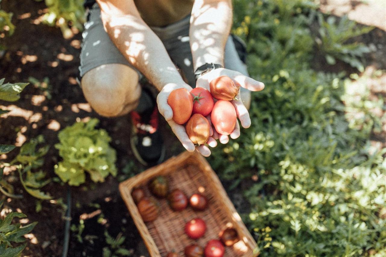 Biohotel Theiner'S Garten 라나 외부 사진