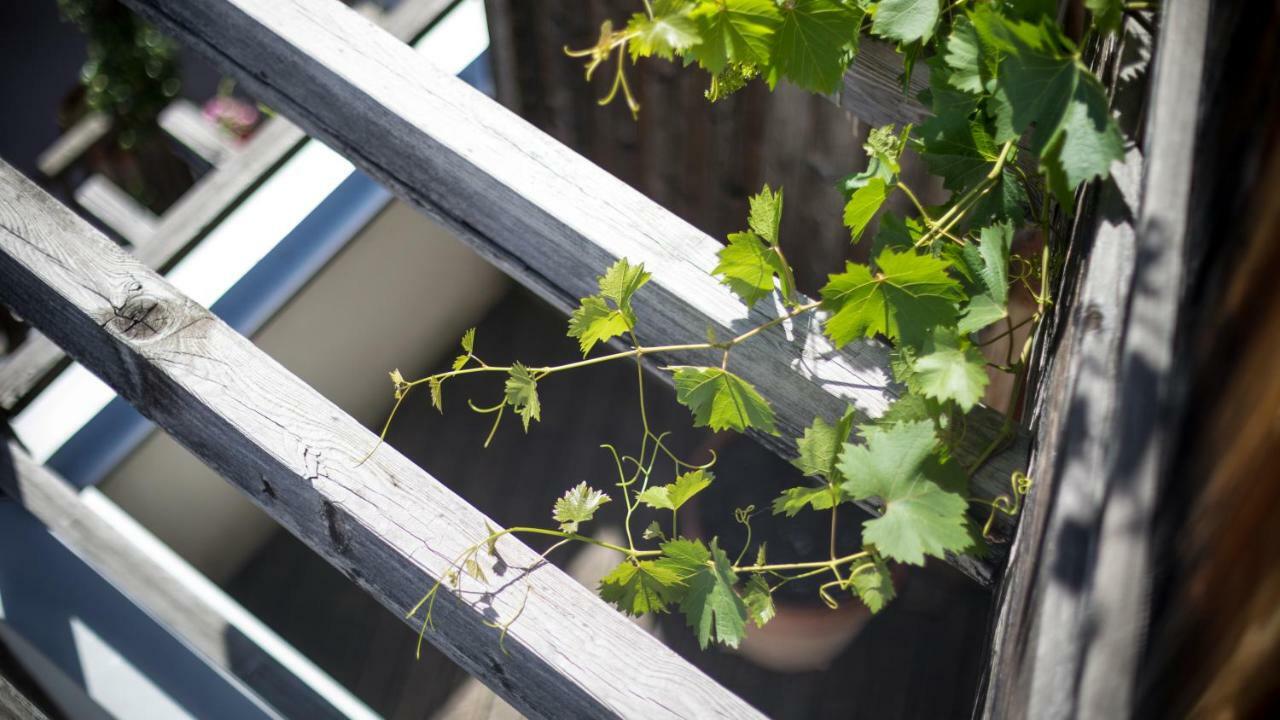 Biohotel Theiner'S Garten 라나 외부 사진